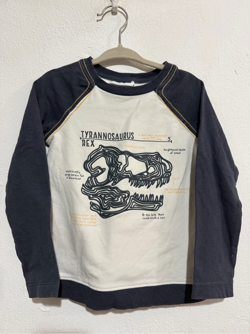 Tommy Bahama Kids Long-Sleeve Raglan Tee - Black & Cream with Dinosaur Graphic